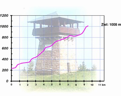 mini-Berglauf-Streckenprofil1